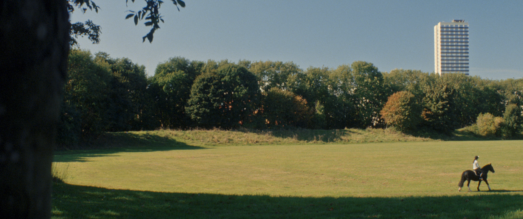 A horse and rider in an open field, with trees and a single skyscraper in the background.